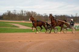 Grosbois-estate,-Drivers,-French-Trotters,-Grosbois,-Harness-racing,-Horse,-Horses,-Kaleidos,-Kaleidos-images,-La-parole-à-limage,-Marolles-en-Brie,-Sulkies,-Sulky,-Tarek-Charara,-Trotters